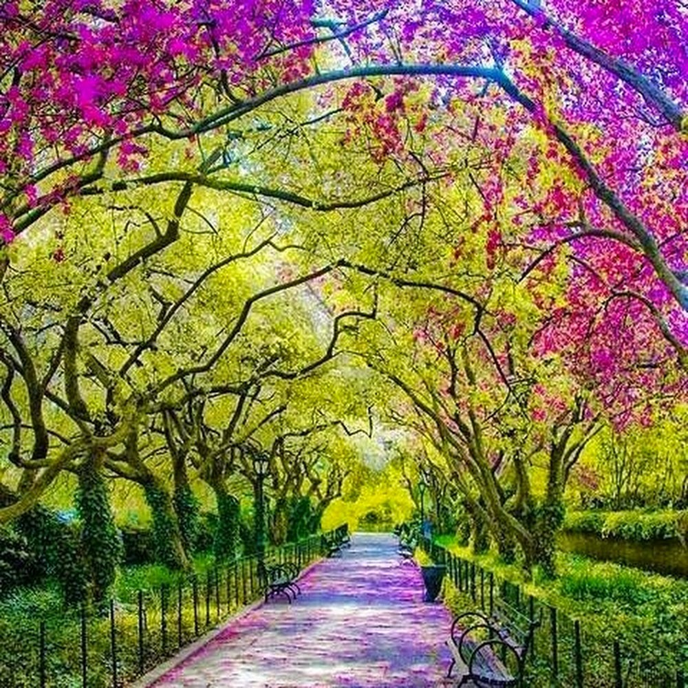 Meet your Posher, Asa.s